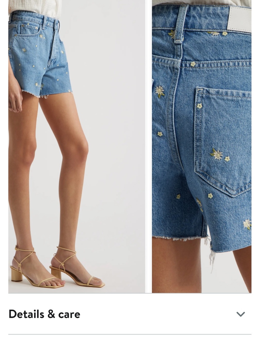 Rails Blue Daisy Embroidered Denim Shorts